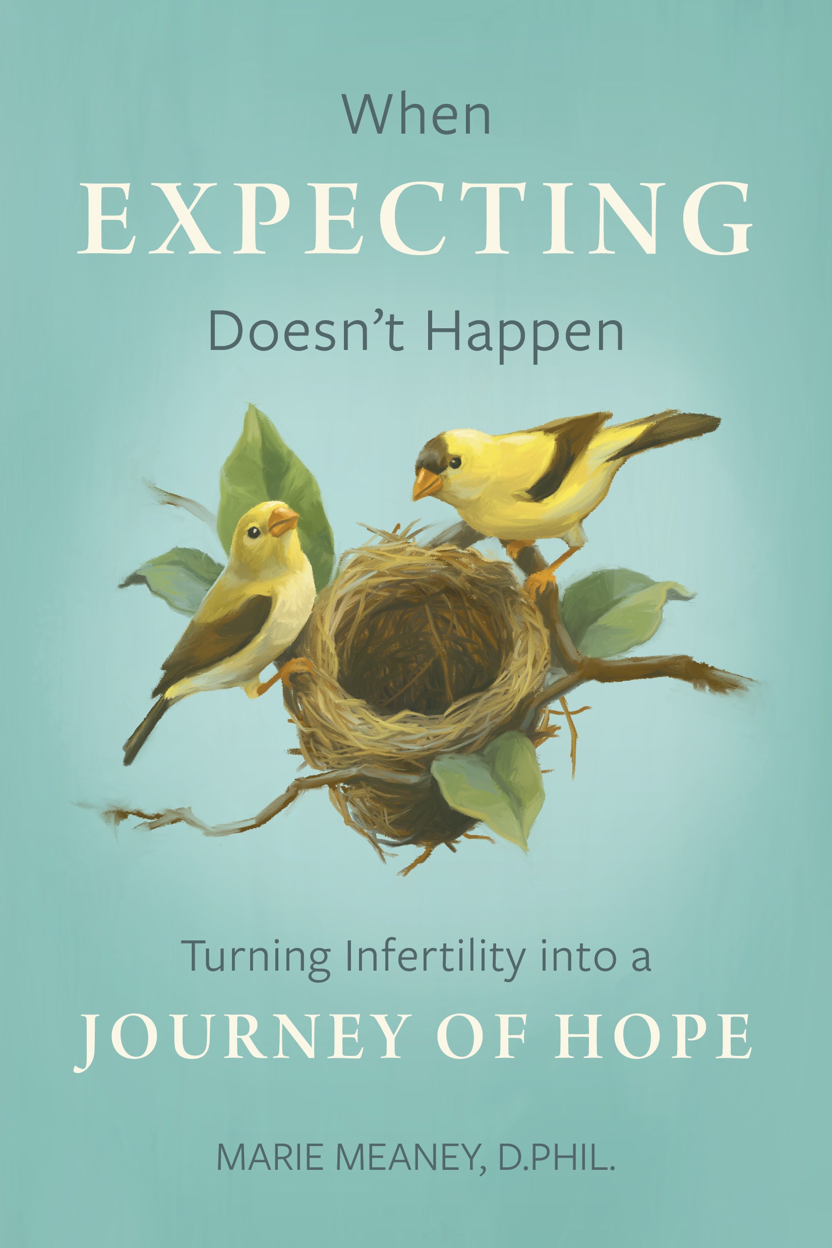 When Expecting Doesn't Happen:  Turning Infertility into a Journey of Hope