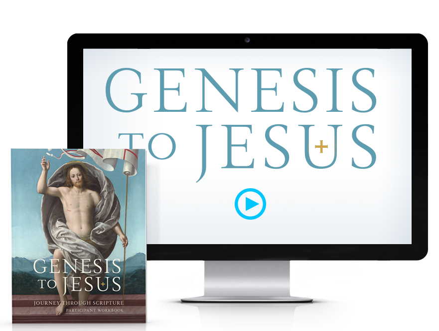 Genesis to Jesus Participant Guide