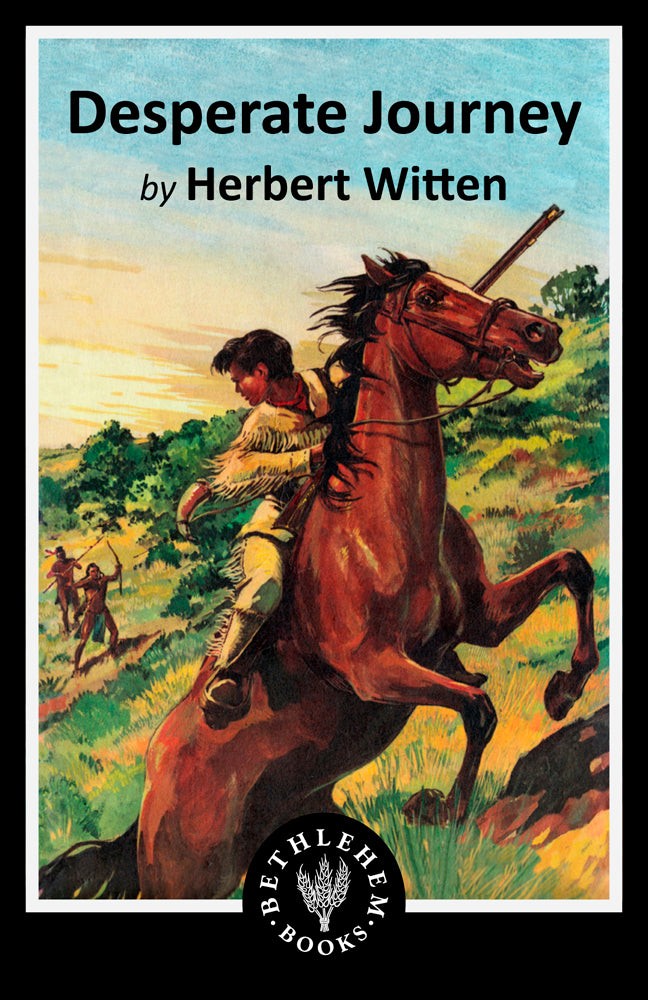 Desperate Journey (e-Book only)