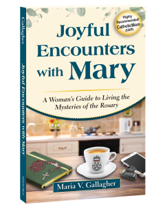Joyful Encounters with Mary: A Woman's Guide to Living the Mysteries of the Rosary